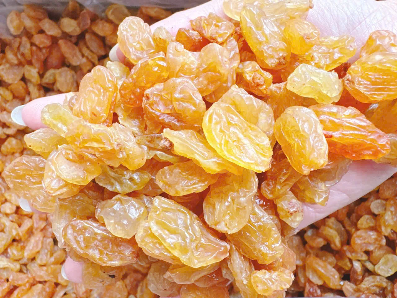 Sản phẩm