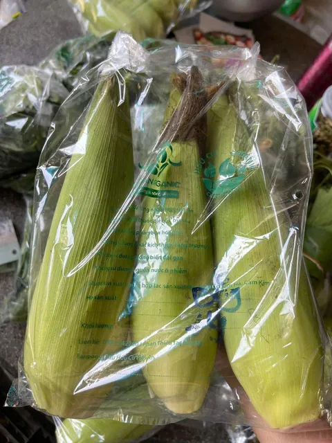 Bắp organic_img