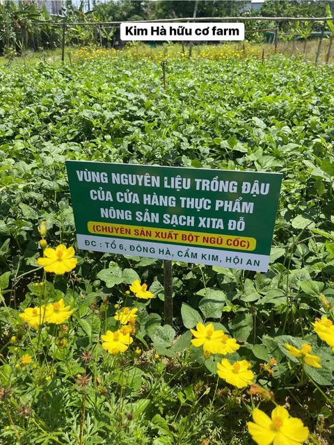 Xu hướng sử dụng thực phẩm sạch
