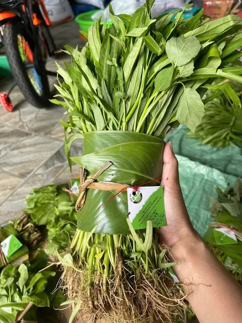 Khách hàng nói về sản phẩm rau sạch tại Xita Đỗ